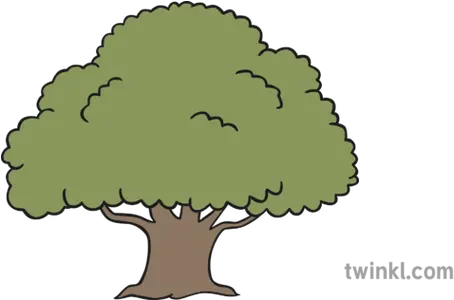 Oak Tree Illustration Arandano Png Blanco Y Negro Oak Tree Png