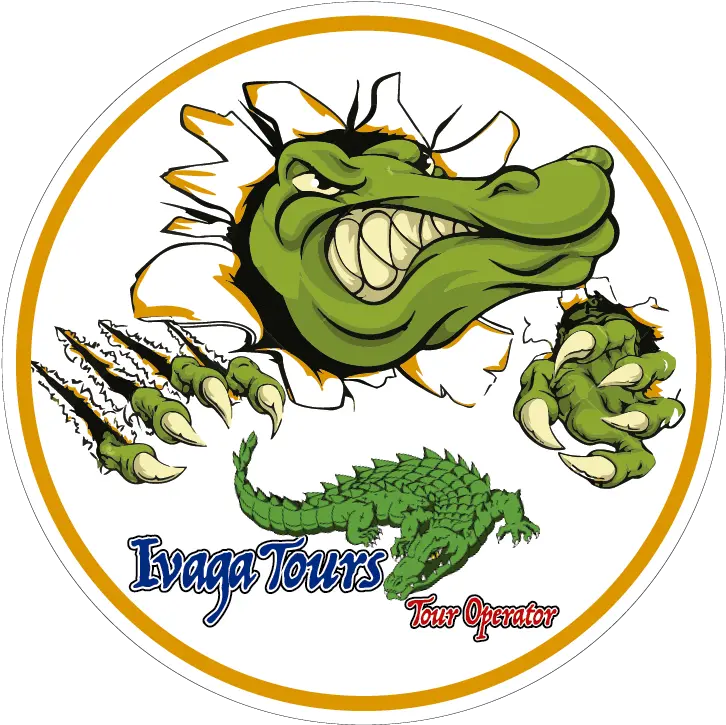 Download Circulo Blanco Mr Alligator Crocodile Workbook Of Angry Cartoon Alligator Png Alligator Transparent