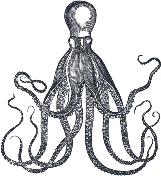 Octopus Images Art Tentacles Dan Hillier Png Tentacles Transparent Background