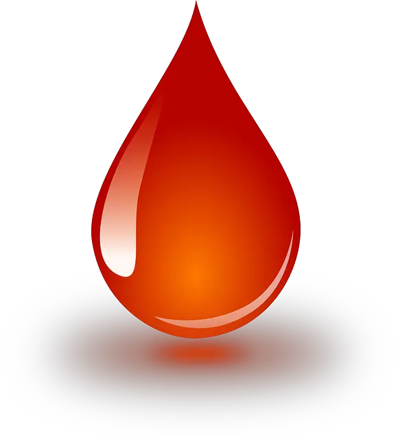 Blood Donation Vector Png