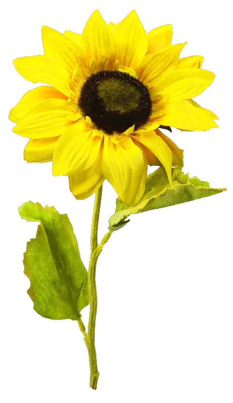 Sunflower Flower Crown Png