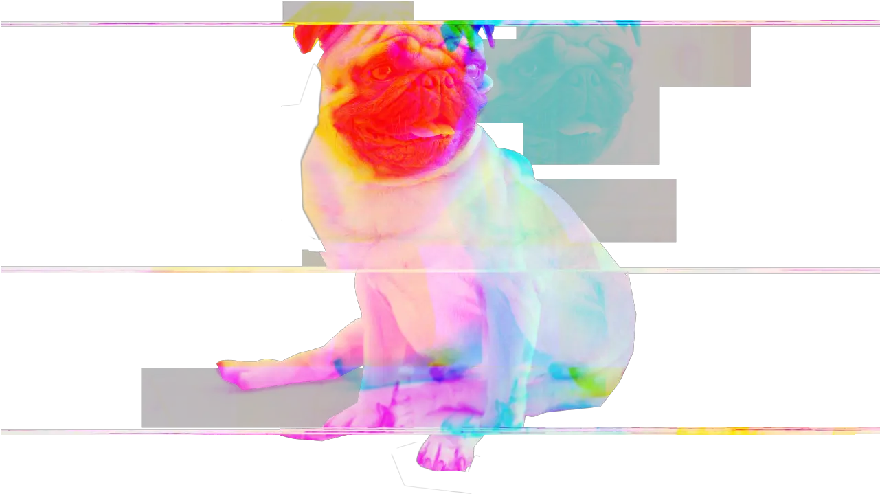 Transparent Glitch Pug Perro De Men In Black Png Pug Png