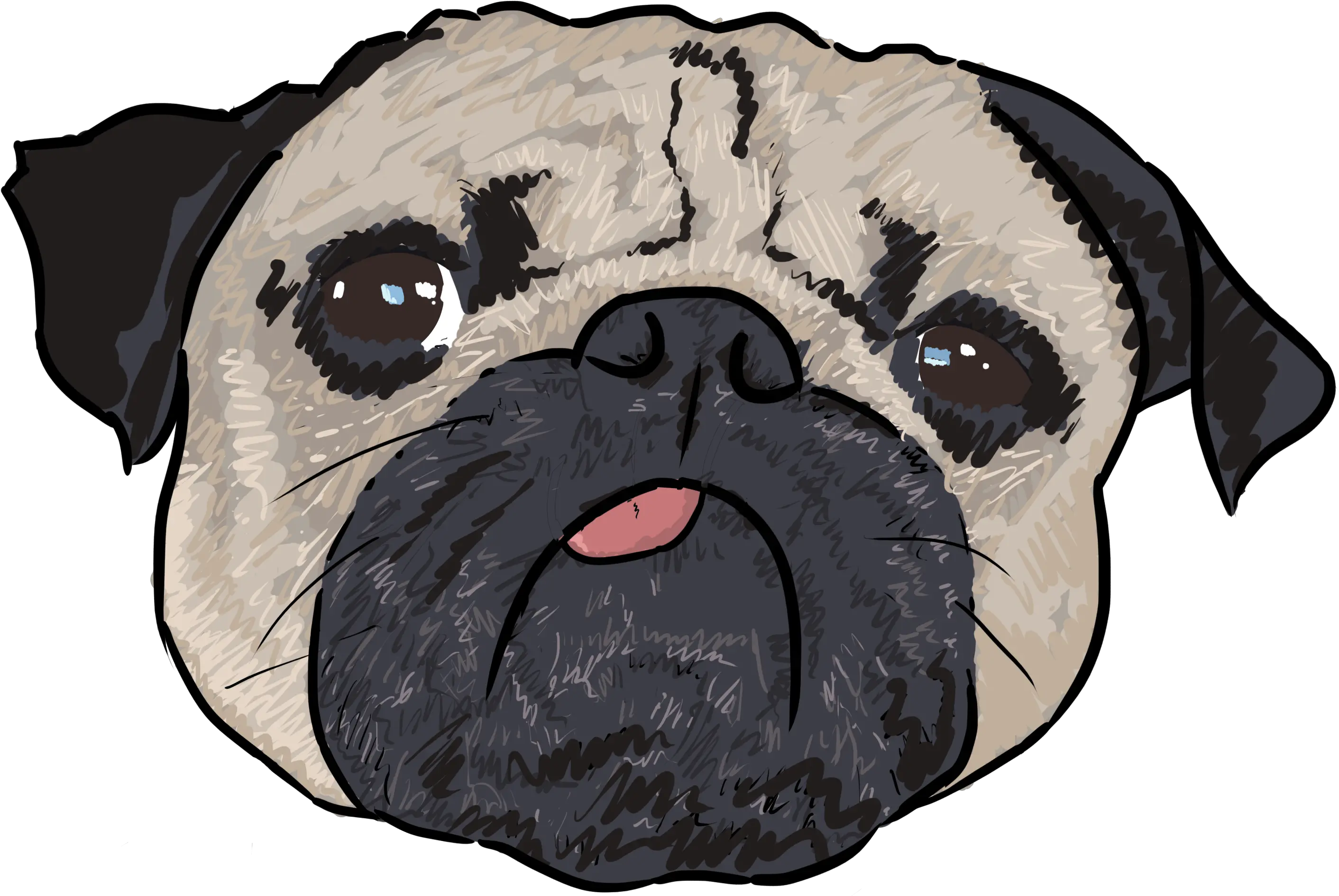 2 Why Are You A Pug Why Are You A Dog Png Pug Png