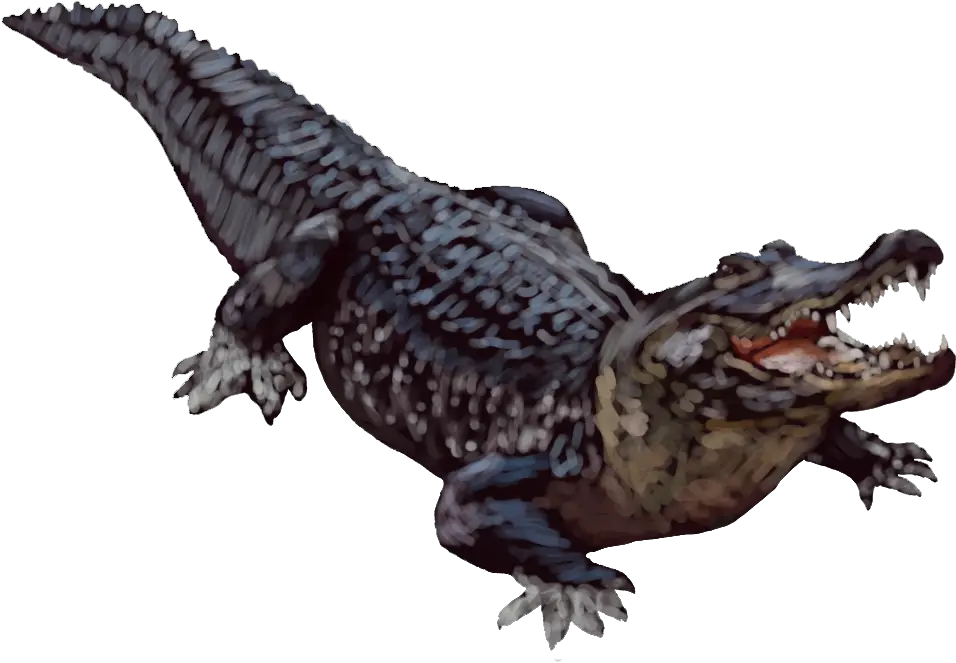 Alligator Transparent Background Alligator Transparent Background Png Alligator Transparent Background