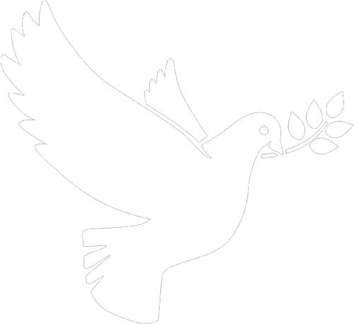 White Dove Png Icon White Dove Icon Png Dove Png