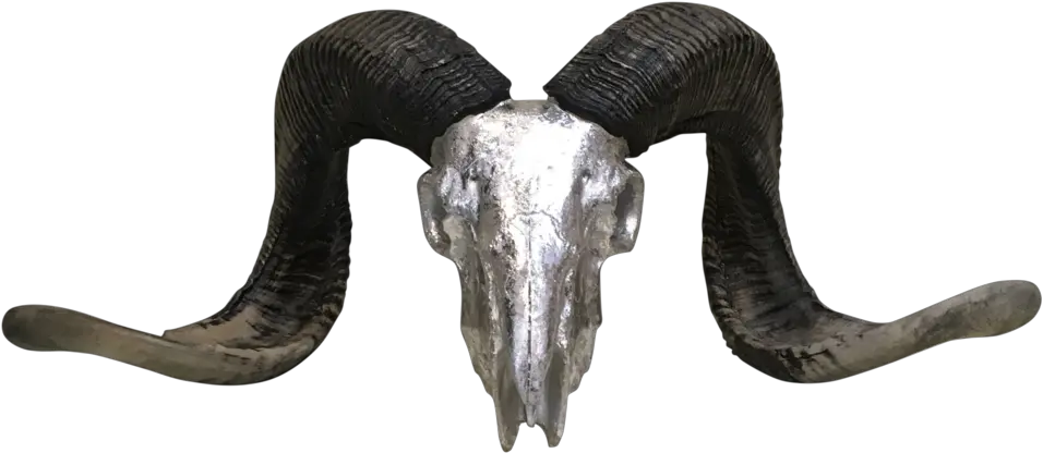 Goat Horns Png Horn Goat Horns Png