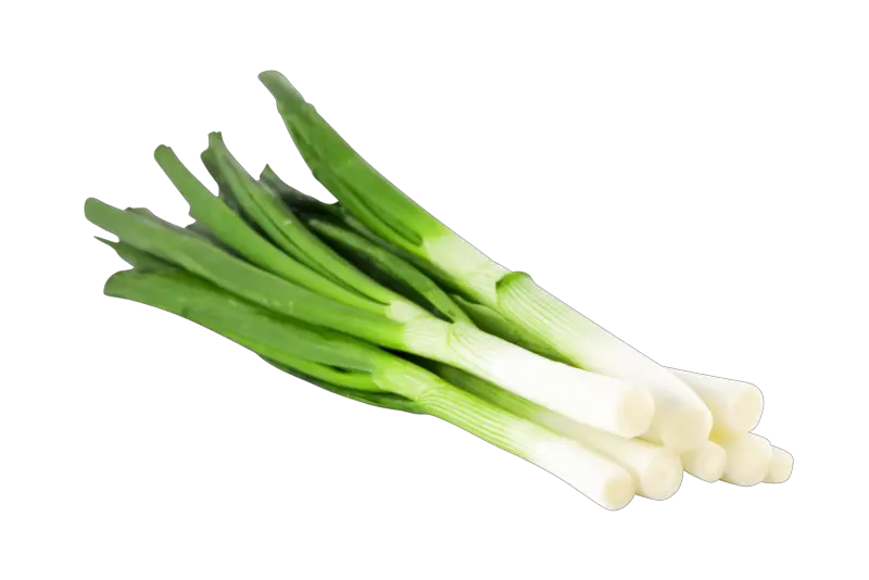 Download Product Group Spring Onion Png Image With No Spring Onion In German Onion Transparent Background