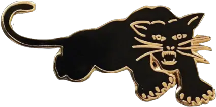 Black Panther Party Black Panther Party Lapel Pin Png Black Panther Party Logo