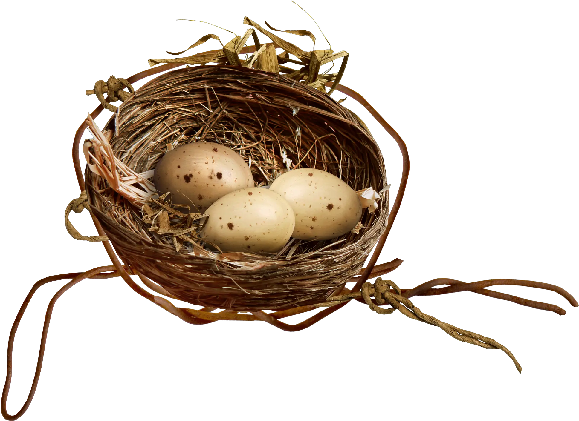 Egg Clipart Nest Transparent Free For Download Nest Clipart Png Nest Png