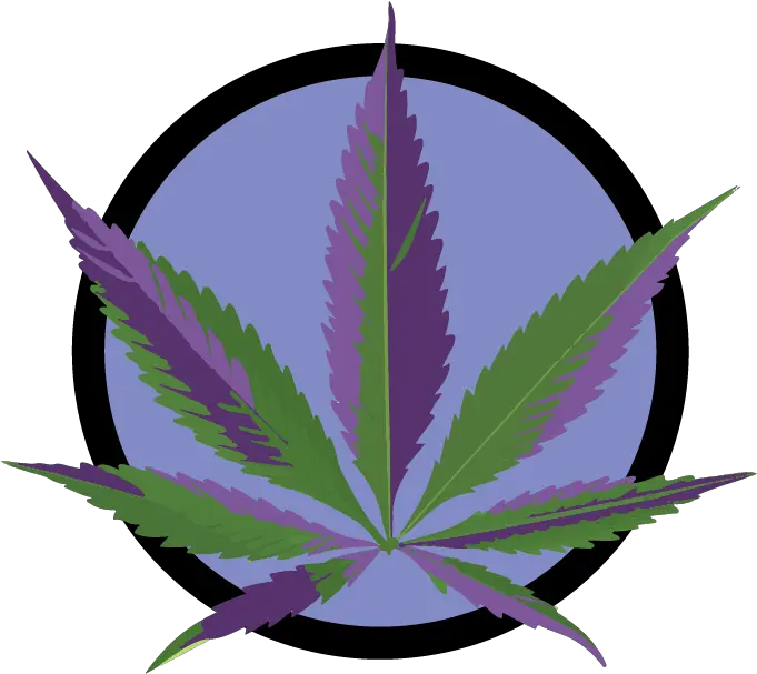 Wax Wednesday 3gu0027s For 55 Green Blue Yellow Leaf Png Marijuana Leaf Icon