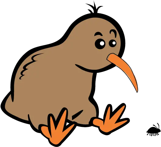 Cartoon Kiwi Bird Png Transparent Birdpng Simple Cartoon Kiwi Bird Kiwi Png