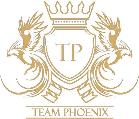 Team Phoenix Ooops Something Went Wrong Logo Team Phoenix Png Phoenix Transparent