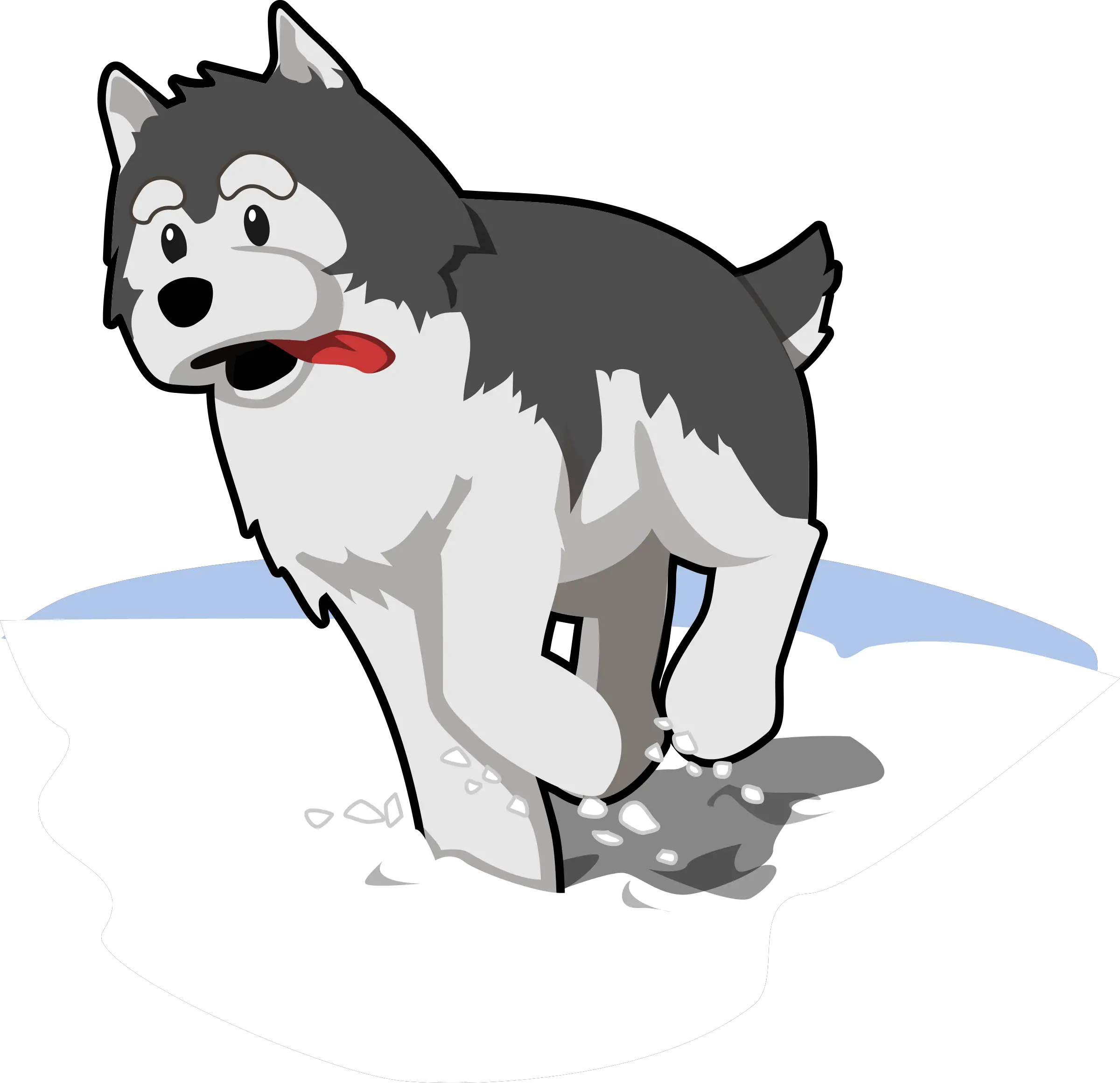 Husky Dog Pet Dog Husky Running Png Husky Png