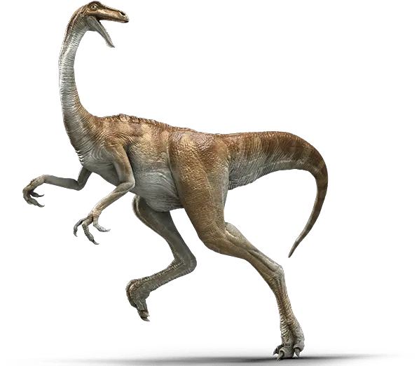 Gallimimus Bullatus Sf U2013 Jurassic Pedia Gallimimus Jurassic World 1 Png Jurassic World Png