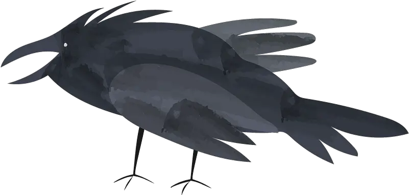 Raven Clipart Free Download Transparent Png Creazilla Raven Raven Transparent