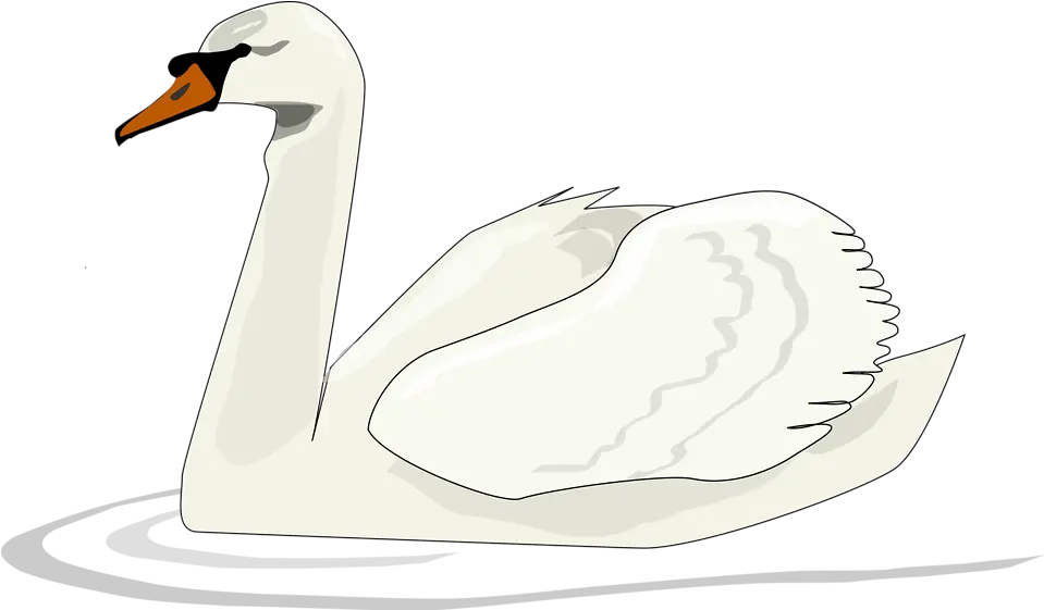 Swan Art Clipart Png