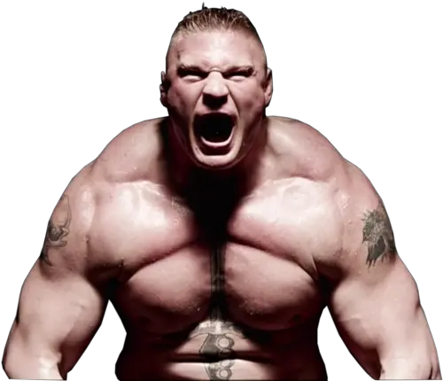 The Rock New Logo 2013 Wwe Photo 34140741 Fanpop Brock Lesnar Png Wwe Logos Wallpaper