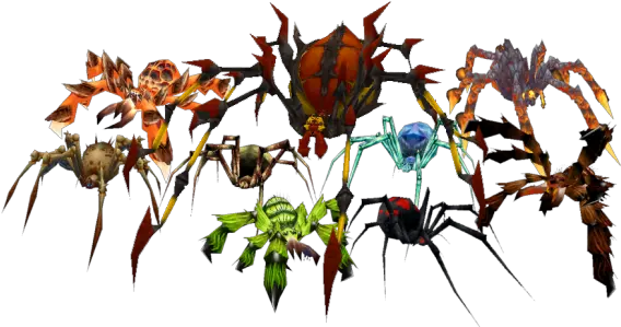 Spider Wowpedia Your Wiki Guide To The World Of Warcraft World Of Warcraft Spiders Png World Of Warcraft Transparent