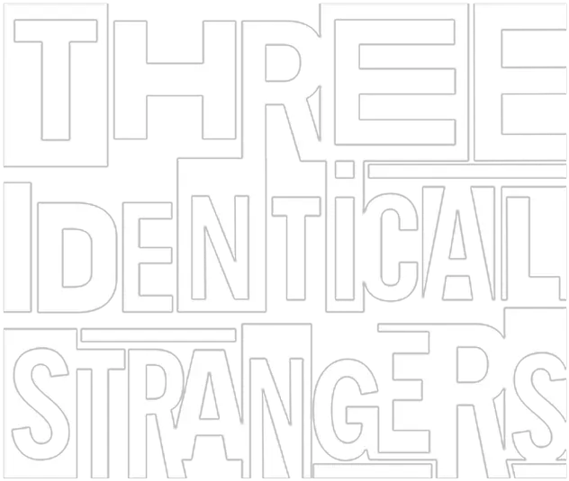 Three Identical Strangers Netflix Language Png Netflix Icon Black