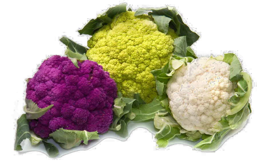 Cauliflower Png Hd Photo Types Of Cauliflower And Broccoli Cauliflower Images Download Broccoli Transparent