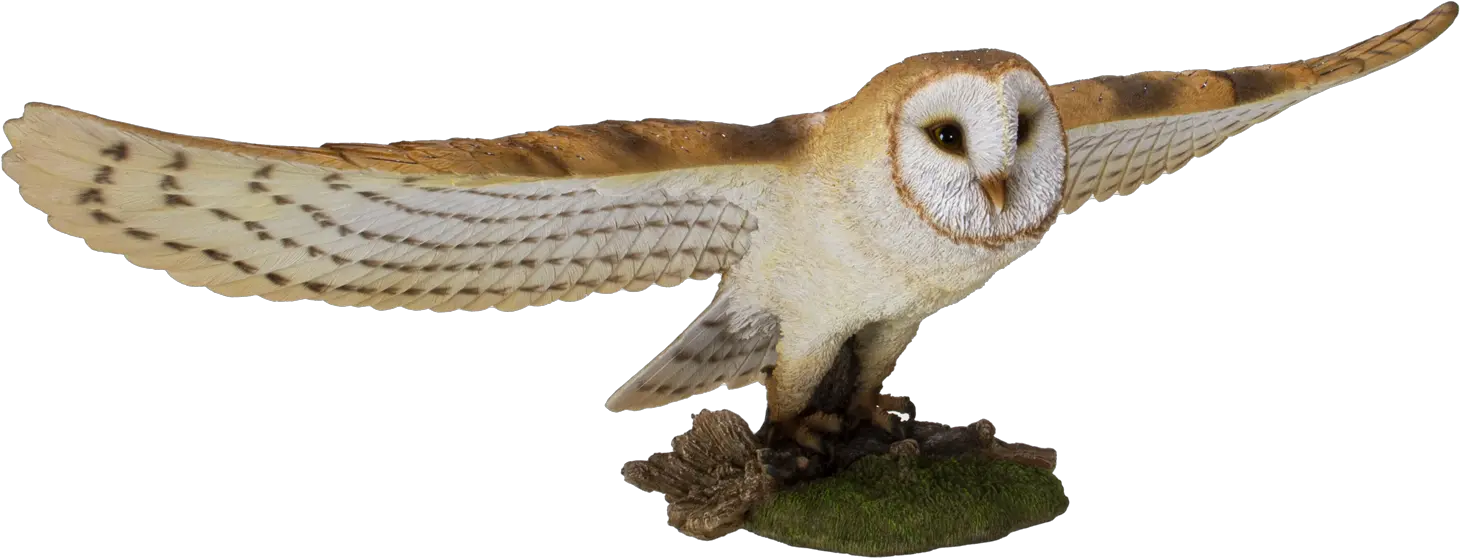 Animal World Flying Open Wing Barn Owl Barn Owl Png Barn Owl Icon