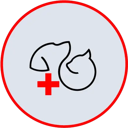 Bundaberg Vet Emergency Animal Hospital Language Png Blood Fury Icon