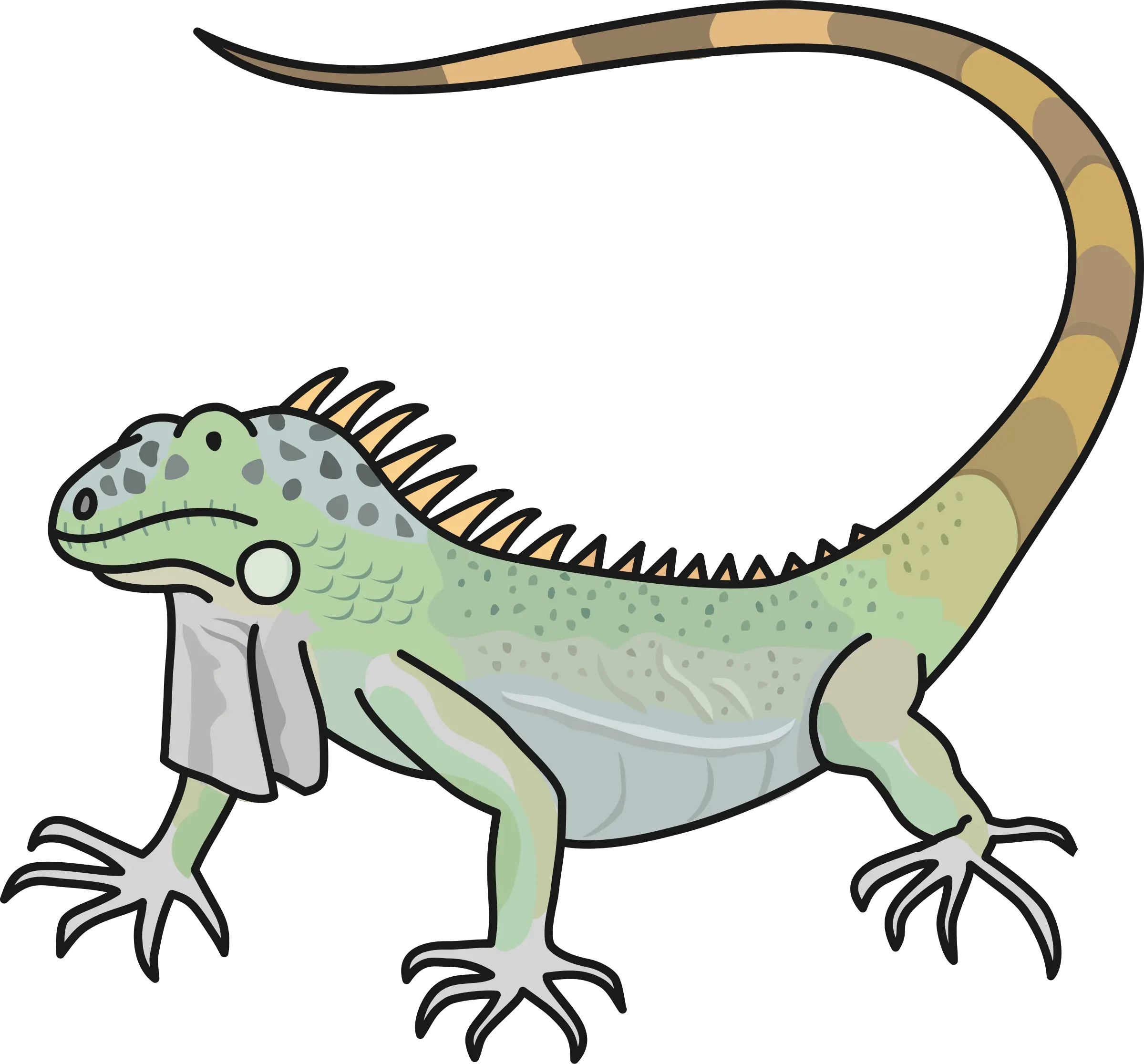 Lizard Clipart Tail Lizard Clipart Cc0 Png Lizard Transparent