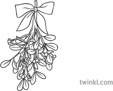 Mistletoe Black And White 2 Mistletoe Black And White Png Mistletoe Png