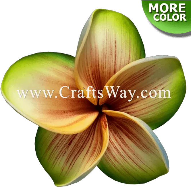 Plumeria Type Ku Artificial Flowers Oahu Png Plumeria Flower Png