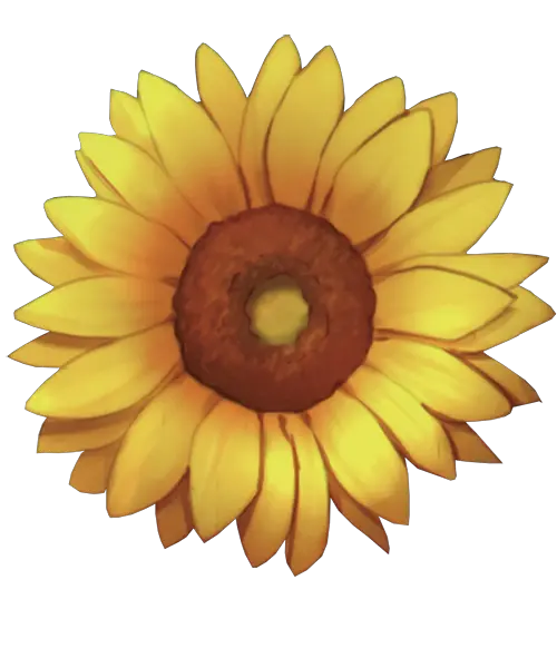 Sunflower Sketch Png