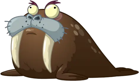 Short Fat Big Eyed Walrus Photo 48634 Free Icons And Cartoon Walrus Png Fat Png