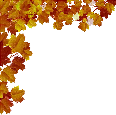 Falling Leaves Gif Transparent Fall Leaves Transparent Gif Png Fall Leaf Transparent