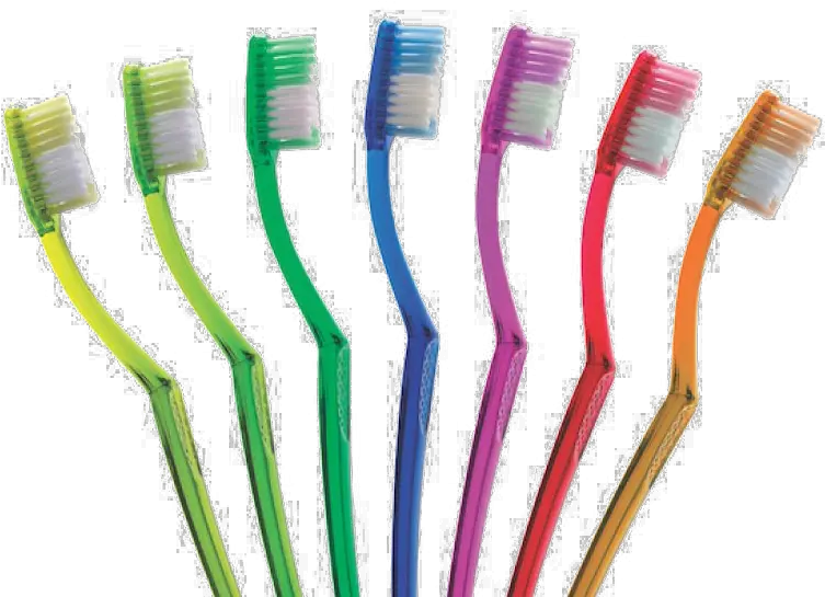 Toothbrush Png Pic Arts Toothbrushes Trandparent Png Tooth Brush Png