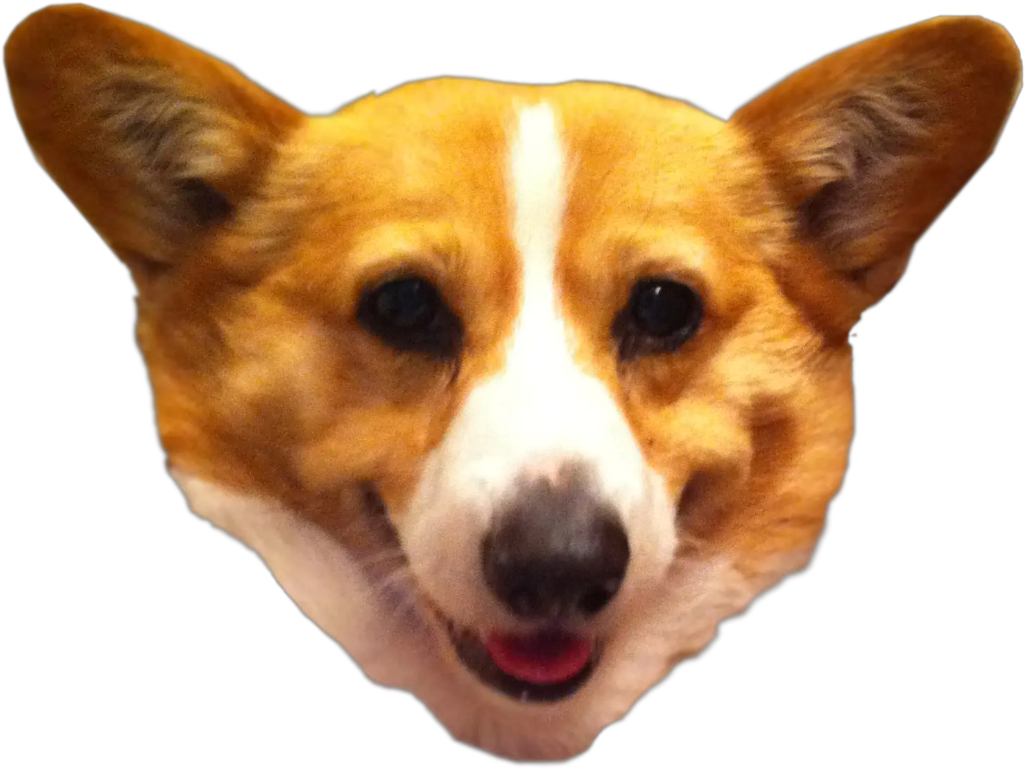 Download Transparent Background Corgi Transparent Background Dog Head Transparent Png Corgi Png