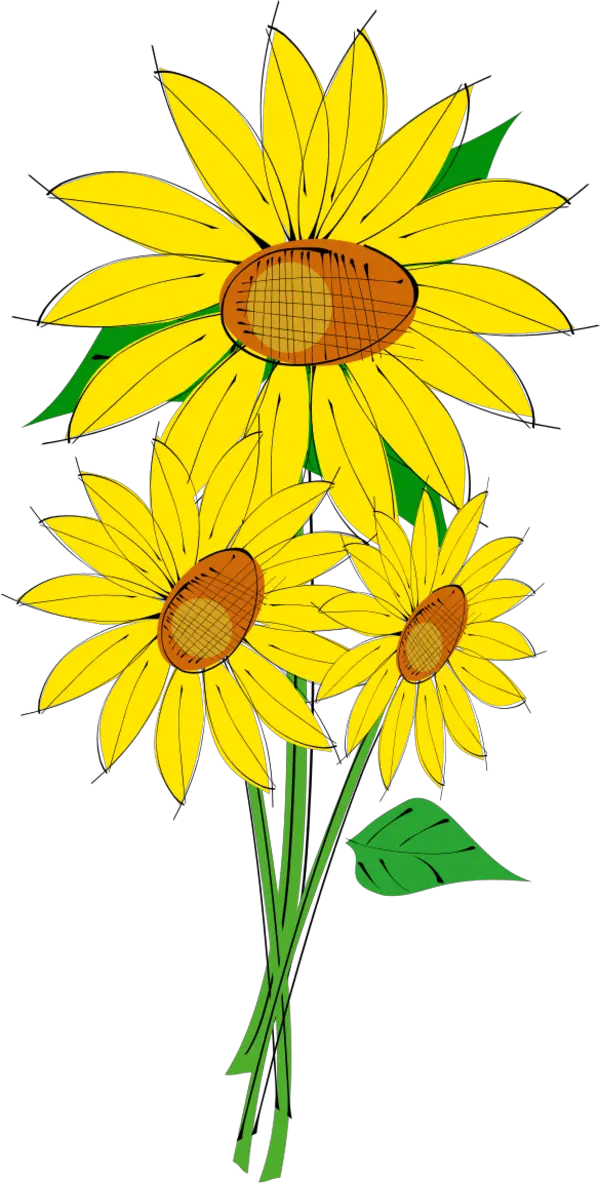 Sunflower Silhouette Png