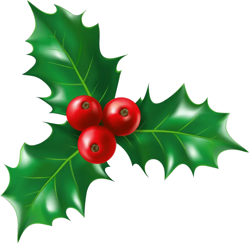 Holly Clipart Clipartworld Holly Christmas Berry Plant Png Holly Leaves Png