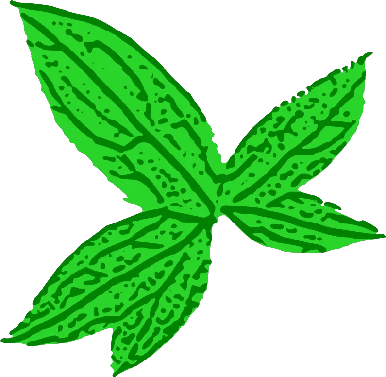 Free Clipart Green Leaf Thejukka Green Leaf Clip Art Png Tobacco Leaf Png