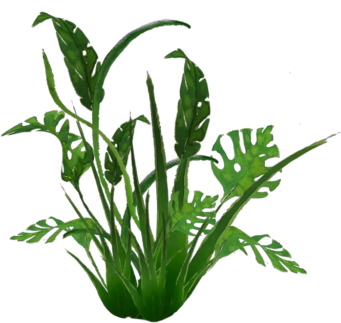 Download 938 Jungle Plants 01 By Tigers Plants Png Jungle Plants Png