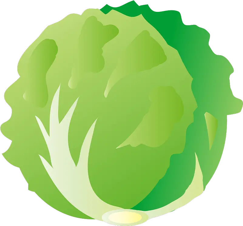 Lettuce Vegetable Clipart Free Download Transparent Png Lettuce Logo Lettuce Png