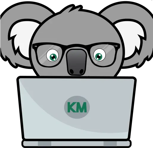 Cropped Cartoon Png Koala Transparent