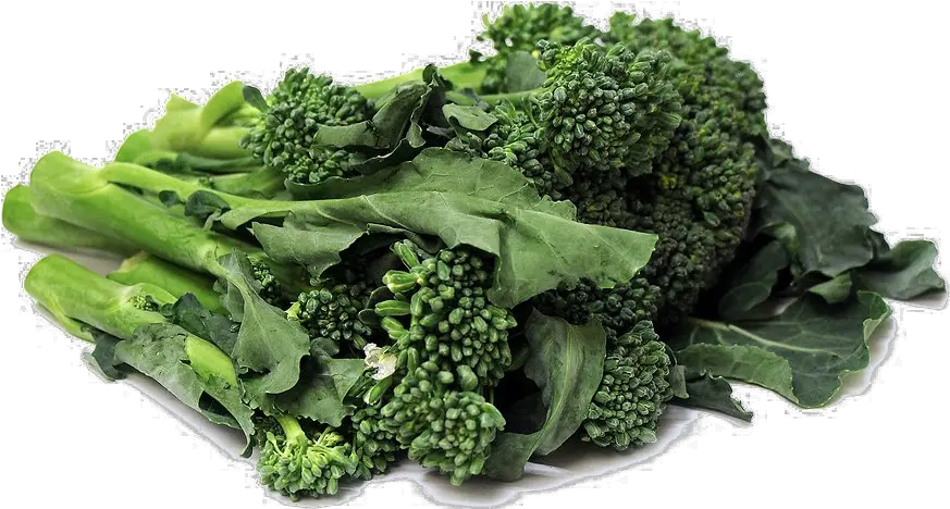 Broccoli Png Transparent File Mart Broccoli Broccoli Transparent