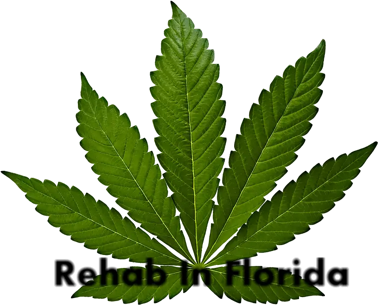 Cannabis Leaf Png Image Cannabis Leaf Cannabis Leaf Png