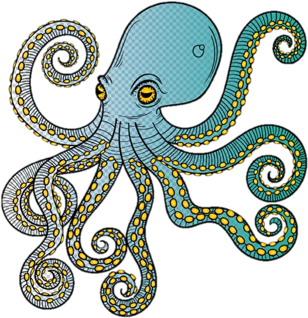 Download Polvo Octopus Full Size Png Image Pngkit Octopus Octopus Png