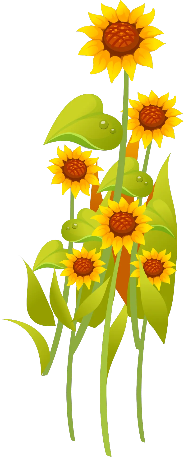 Sunflower Png Transparent Background