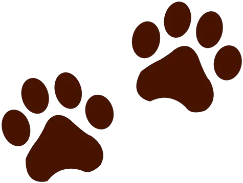 Bear Footprints Transparent Png U0026 Svg Vector File Huella De Oso Dibujo Footprints Transparent