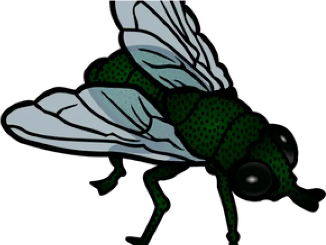 Flies Clipart Little Bug Clip Art Fly Png Flies Png