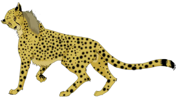Running Cheetah Png Background Image Cheetah Running Gif Png Cheetah Png