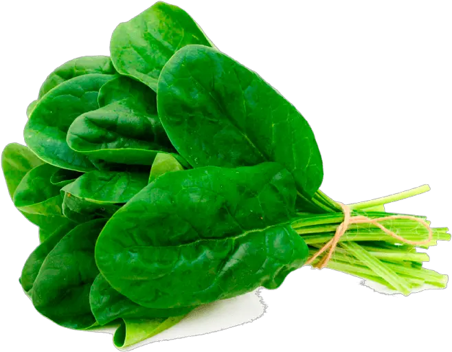 Vegetable Rich In Iron Spinach Kg Uae Png Spinach Png
