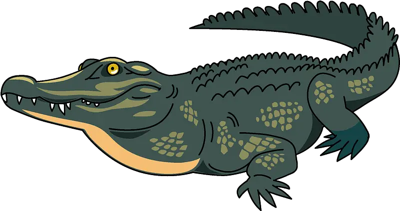 Clipart Clipart Images Of Crocodile Png Alligator Png