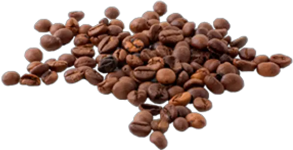 Coffee Beans Png Free Download 19 Images Whole Beans Coffee Beans Png
